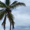 lanegralinda_52